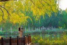 九游游戏盒app-发现安卓游戏的乐趣，九游游戏盒APP