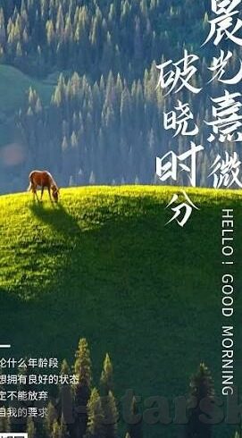 足球提前结束比分-足球提前结束比分，赛场风云的瞬息万变与深远影响